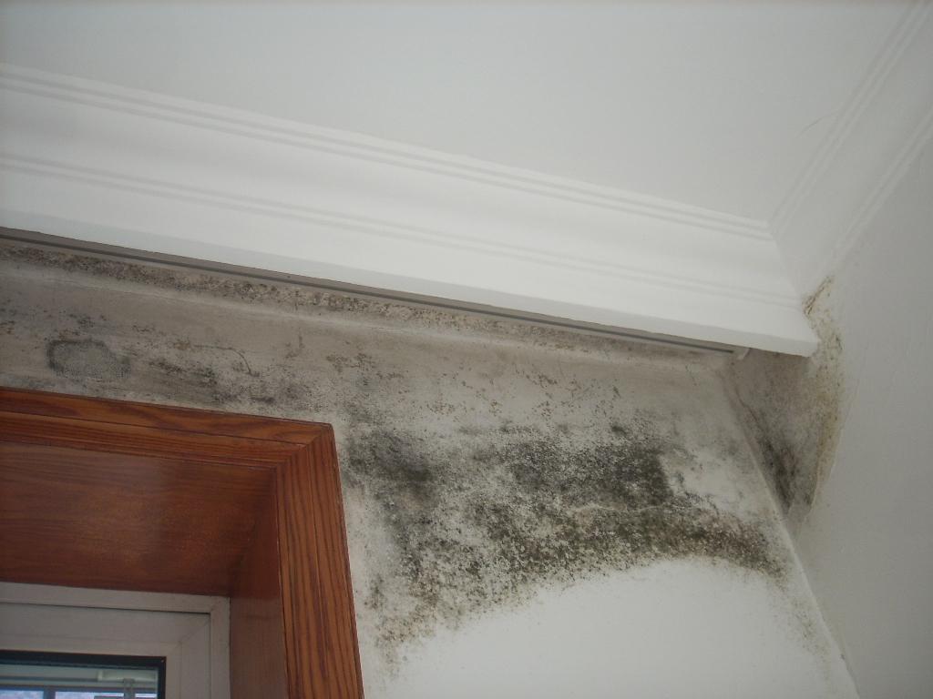 贏勝節(jié)能 橡塑保溫材料 class0 class1 復合橡塑保溫材料 橡塑保溫管 橡塑保溫板 外墻保溫 殼寶U-PVC管道外護 玻璃棉 愛耳聲學 隔聲降噪材料